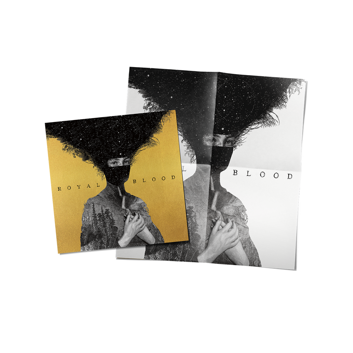 Royal Blood | 10th Anniversary Edition Deluxe LP